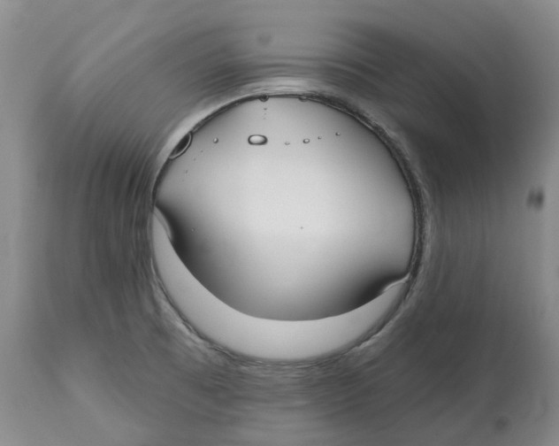 X0000112541473200909141300
