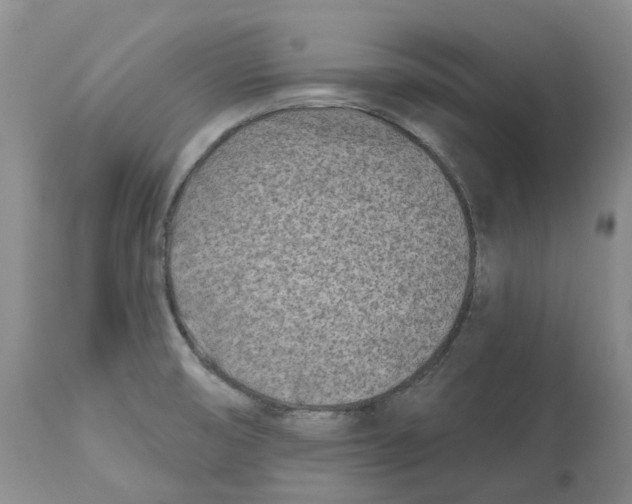 X0000112541474200909141300