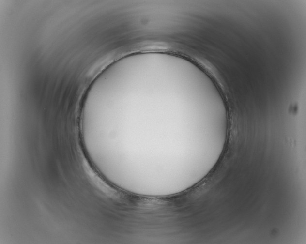 X0000112541475200909141300