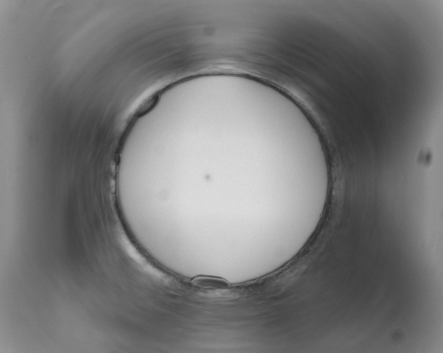X0000112541476200909141300