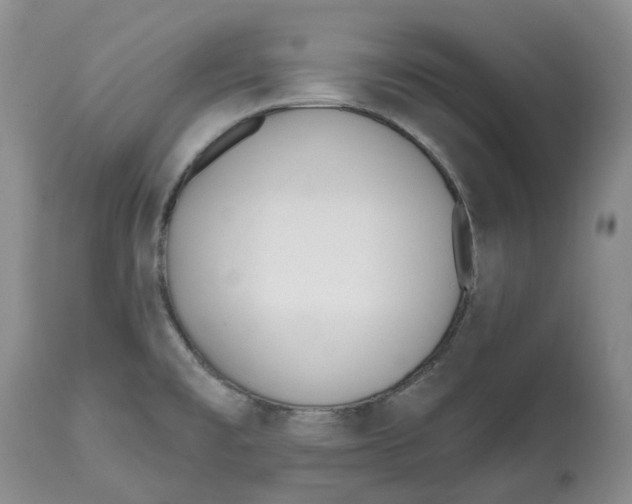 X0000112541477200909141300