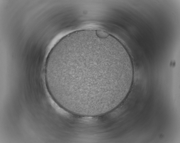 X0000112541478200909141300