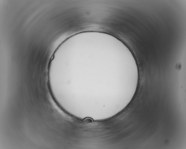 X0000112541479200909141300