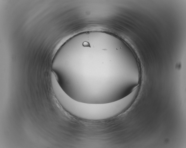 X0000112541481200909141300