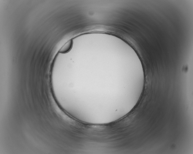 X0000112541483200909141300