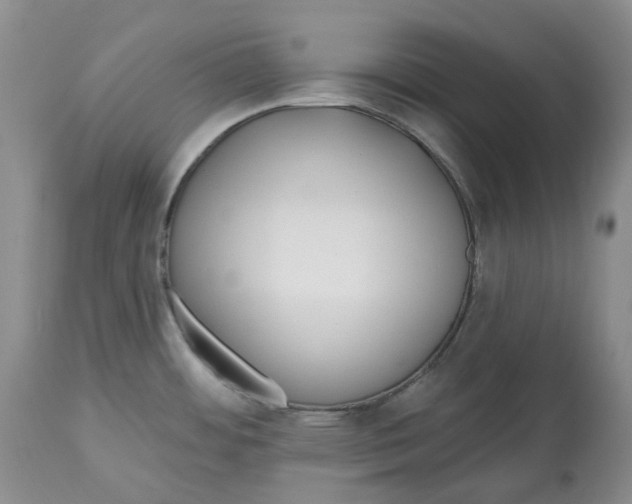 X0000112541484200909141300