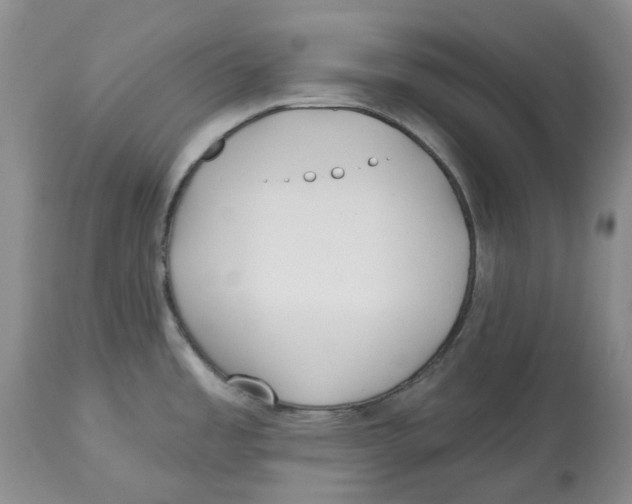X0000112541485200909141300
