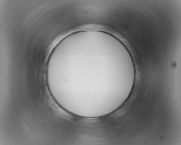 X0000112541486200909141300