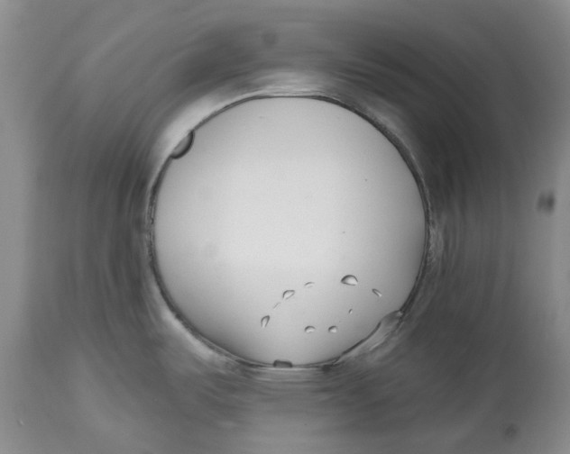 X0000112541487200909141300
