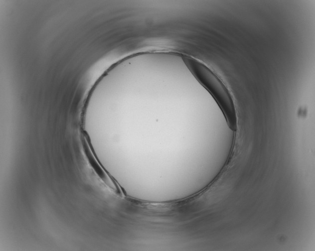 X0000112541488200909141300