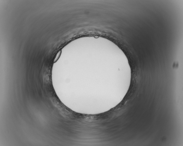 X0000112541490200909141259
