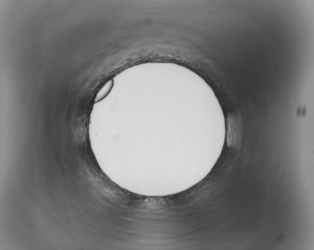 X0000112541491200909141259
