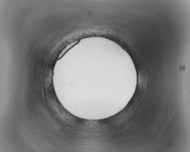 X0000112541492200909141259