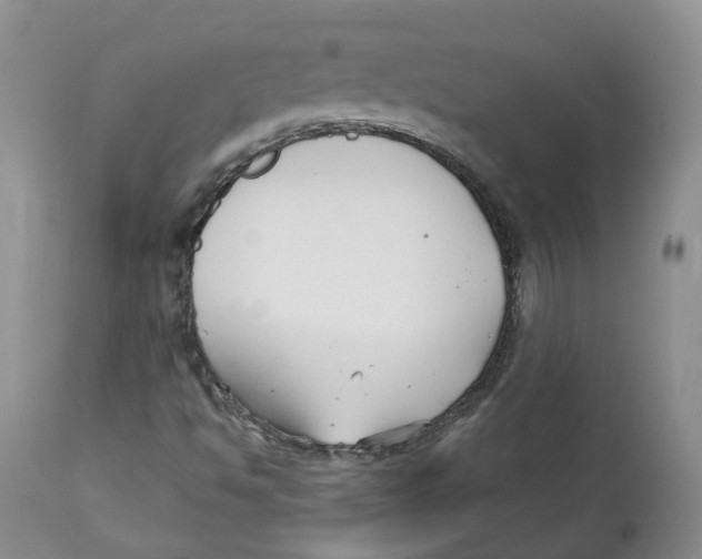 X0000112541494200909141259