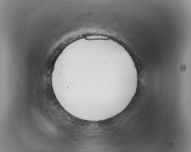 X0000112541495200909141259