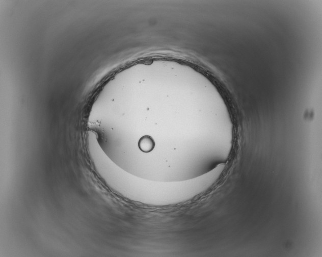 X0000112541496200909141259
