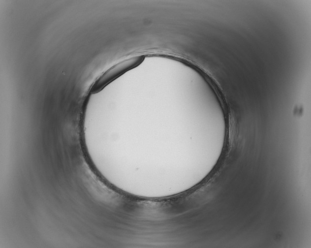X0000112541500200909141259