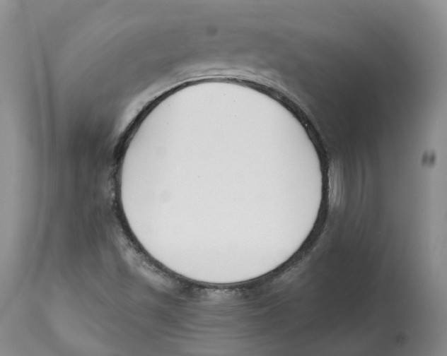 X0000112541501200909141259