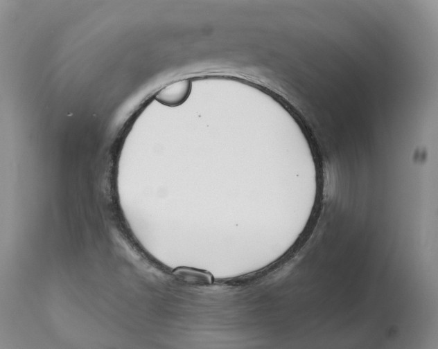 X0000112541502200909141259