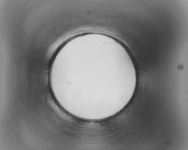 X0000112541503200909141259
