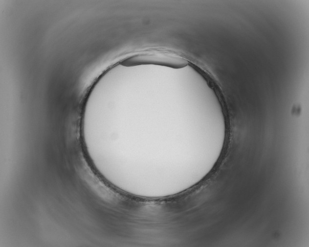 X0000112541504200909141259