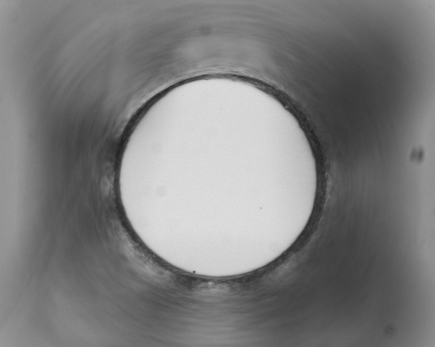 X0000112541505200909141259