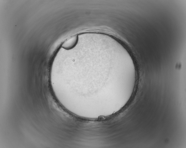 X0000112541506200909141259