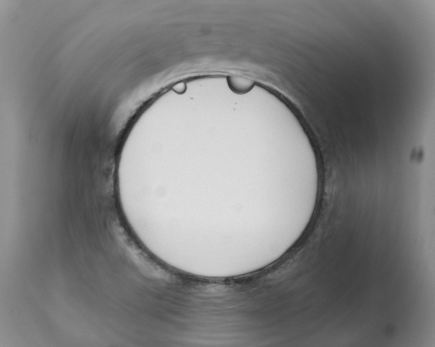 X0000112541507200909141259