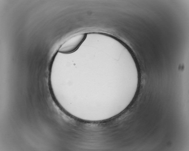 X0000112541508200909141259
