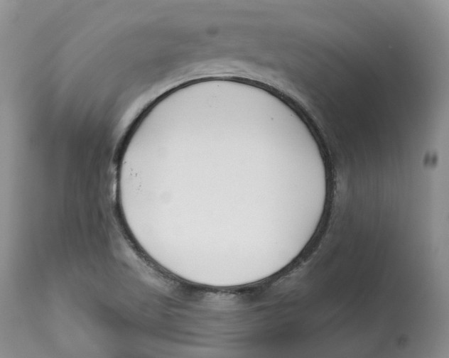 X0000112541509200909141259