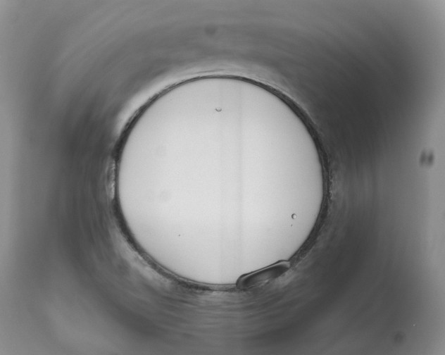 X0000112541510200909141259