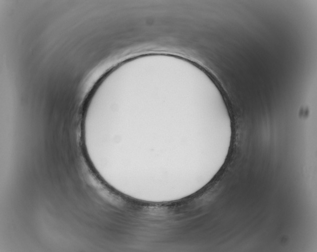 X0000112541511200909141259