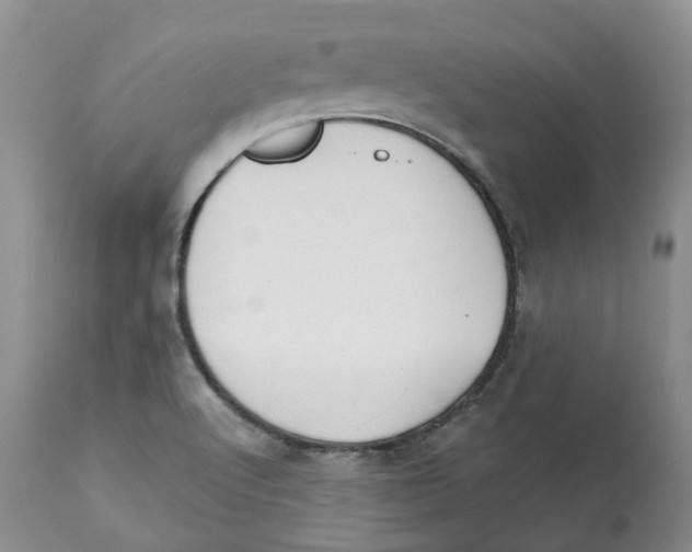 X0000112541512200909141259