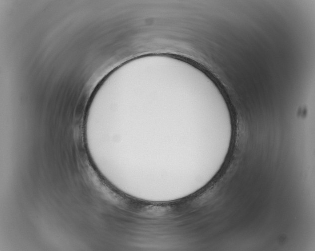 X0000112541513200909141259