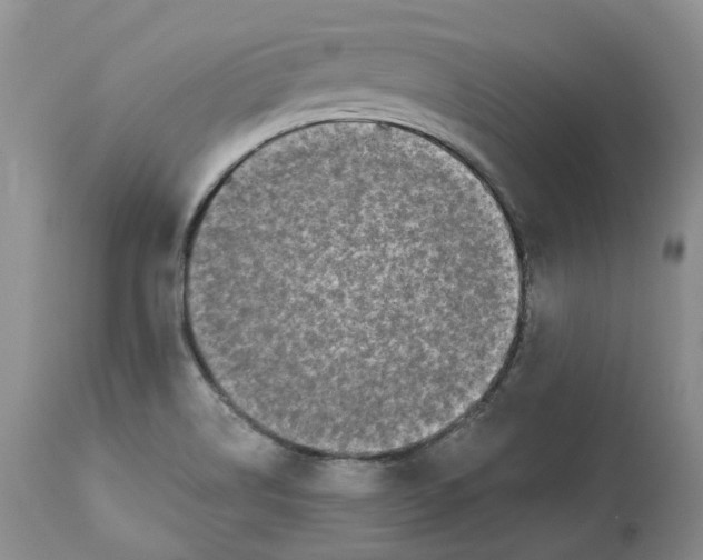 X0000112541514200909141259