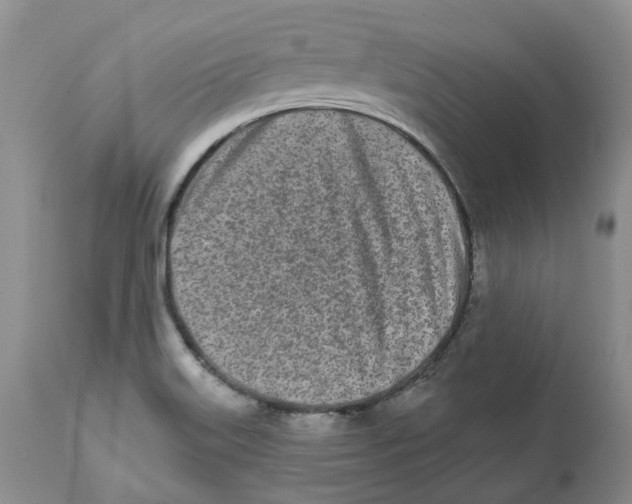 X0000112541515200909141259