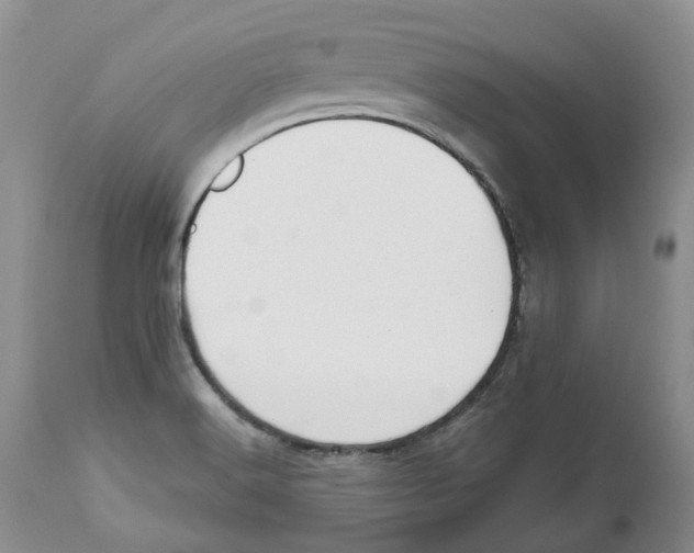 X0000112541516200909141259