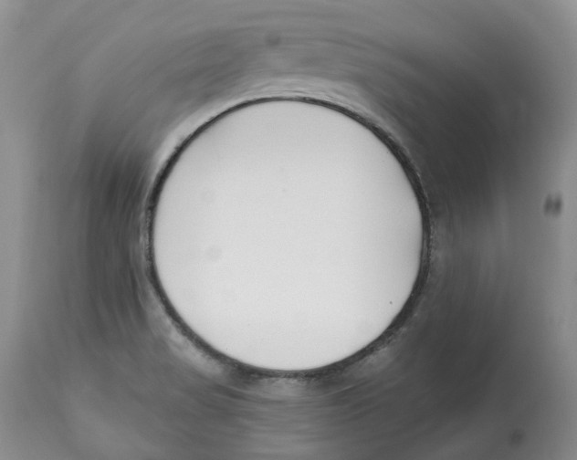 X0000112541517200909141259