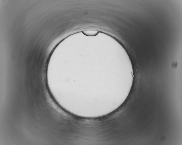 X0000112541518200909141259