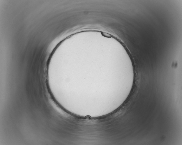 X0000112541519200909141259