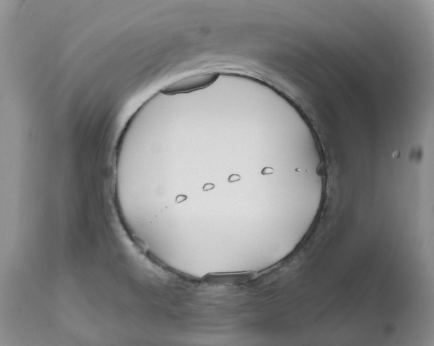 X0000112541520200909141259