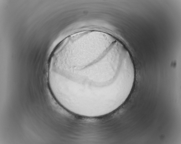 X0000112541522200909141300