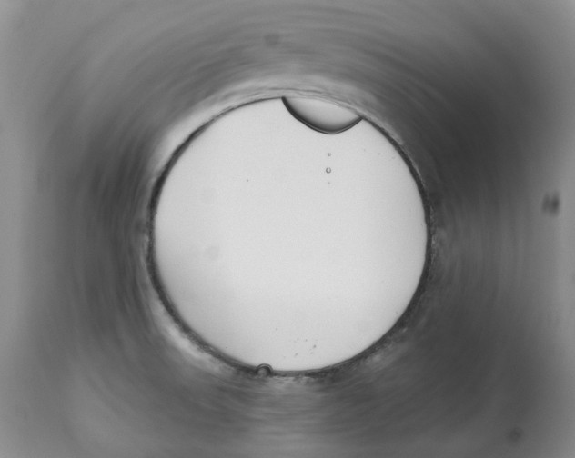 X0000112541523200909141300