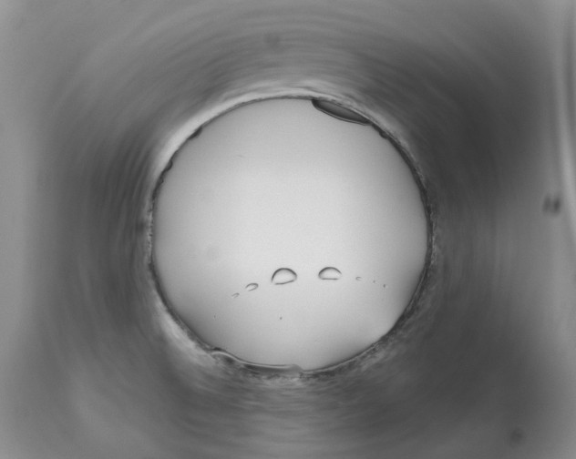 X0000112541524200909141300