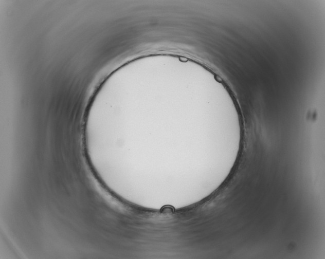 X0000112541525200909141300