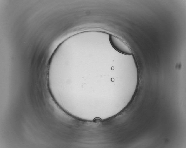 X0000112541526200909141300