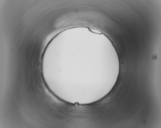 X0000112541527200909141300