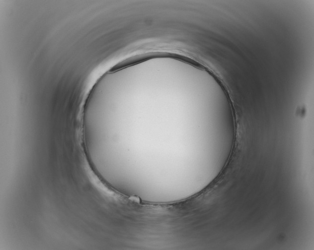 X0000112541528200909141300