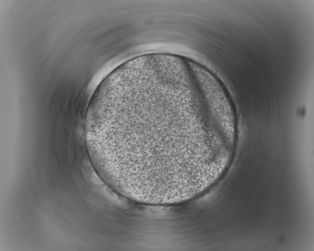 X0000112541529200909141300