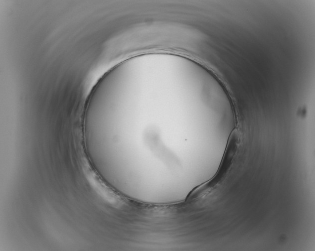 X0000112541530200909141300